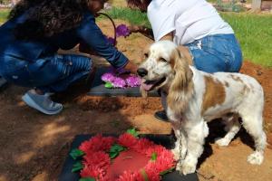 Cementerio de mascotas Neiva