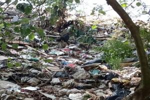 Contaminación Hato de la Virgen.