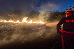 Más de mil hectáreas afectadas por incendios en el Huila