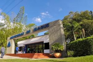 Universidad de Ibagué 