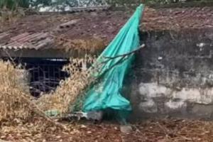 Comunidad educativa del Guamo denuncia riesgo por tapia caída en colegio