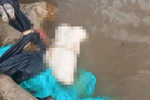 Macabro hallazgo en el río Magdalena: joven desmembrado es encontrado por pescadores