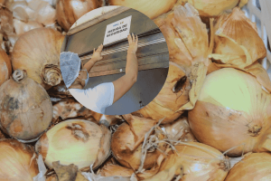 Cierre de local de frutas y verduras por fallas de salubridad