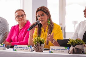 cruzada internacional para proteger la Cordillera de Los Andes