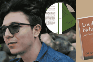 Sebastian Giraldo Guzmán