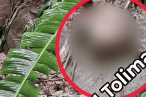 Una madre tuvo que recuperar el cuerpo de su hijo sin apoyo institucional en zona rural de Rovira