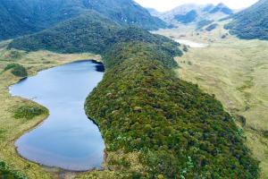 Contenido patrocinado -  Ubicado en Roncesvalles, el parque se consolida como un área estratégica para la conservación de la biodiversidad y la regulación hídrica.