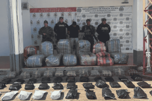 Operativo en Rioblanco permitió incautar 350 kilos de marihuana