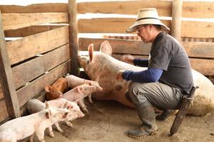 Biodigestores transforman residuos en energía