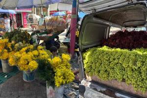 Ventas 31 de diciembre | 31 de diciembre Ibagué | Ibagué | Diciembre 2025