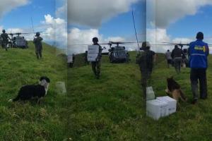Familias aisladas en el cerro Pitayó reciben apoyo aéreo tras la emergencia