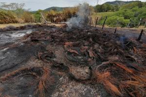 170IncendioMariquitaCortolima.jpeg
