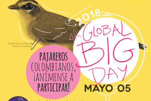 Arrancó-el-Global-Big-Day.png