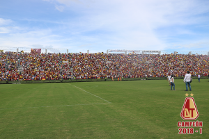 Estadio-Murillo-Toro.png