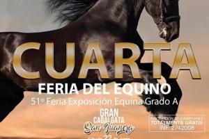 Infibagué-adjudicó-licitación-para-Feria-del-Equino.jpg