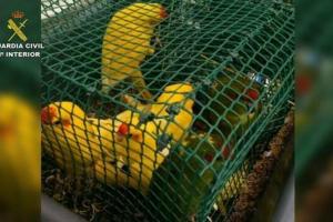 aves_0.jpg