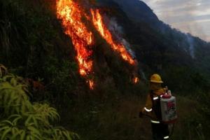 incendios19.jpg