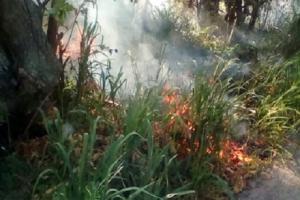 incendiosjulio1.jpg