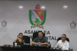 inicia-segundo-debate-de-ordenanzas-en-la-asamblea-del-tolima.jpeg
