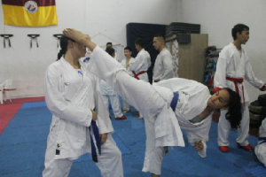 karate-Do.png
