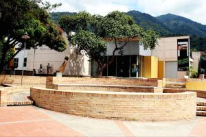 mattolima.jpg