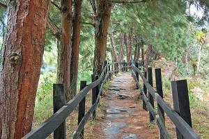 phoca_thumb_l_Mirador-Canon-del-Combeima.jpg