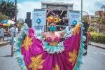Consejo de Cultura de Ibagué  2021