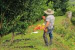Productores
