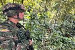 Listas las tropas de la Sexta Brigada para las elecciones en el Tolima