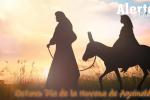 Día 8 Novena