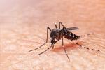 Dengue en Colombia 