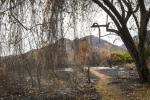 Extinguen incendio en Natagaima | Apagan incendio en Natagaima | Emergencia Natagaima | Septiembre 2024