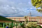Colegio normal superior Ibagué