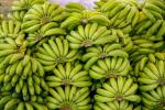 banano