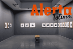 museo de arte del tolima