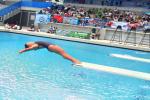 Festival Nacional Novatos de Clavados en las Piscinas Olímpicas de la 42