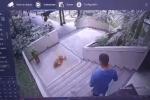 Caso de Maltrato Animal | Hombre Golpeo Animal | Maltrato Animal | Julio 2025