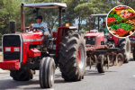 Líder transportador advierte afectaciones sobre los alimentos debido al paro arrocero