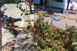Sicarios acabaron con la joven cobra diario en Purificación