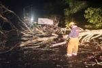 Emergencias por Lluvias | Inundaciones | Caída de Arboles | Agosto 2025
