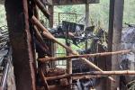 Incendio Estructural Ibagué | Emergencia | Incendio Estructural | Agosto 2025