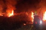 Incendio forestal en Ibagué