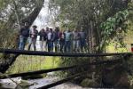 Puente peatonal