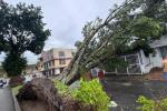 Afectaciones invierno | Lluvias Ibagué | Tormenta Ibagué | Septiembre 2025