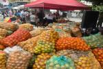 Naranjatón | Venta de Naranja | Naranjas Ibagué | Septiembre 2025