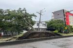 Caída de Arboles | Falta de Energía | Emergencias por Lluvias | Septiembre 2025