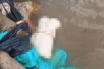 Macabro hallazgo en el río Magdalena: joven desmembrado es encontrado por pescadores